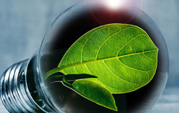 RENEWABLE ENERGY SERVICES