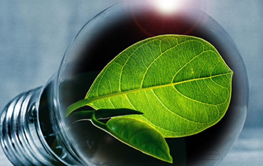 RENEWABLE ENERGY SERVICES